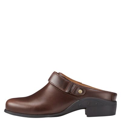 Ariat Sport Bakır Mule Ayakkabı Bayan (35839-687)